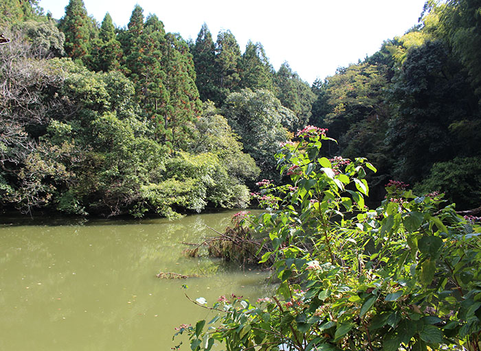 23.新池